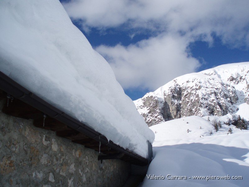 14.Malga Campo .JPG